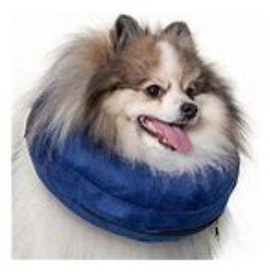 Calm Paws Protective Collar Size:  X-Small